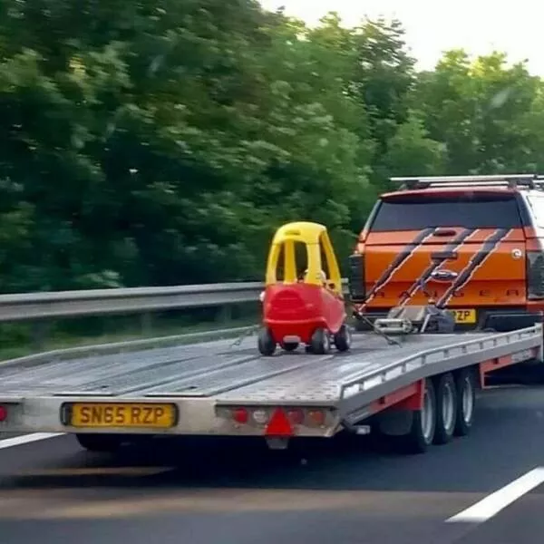 Picdump 965 - #33 