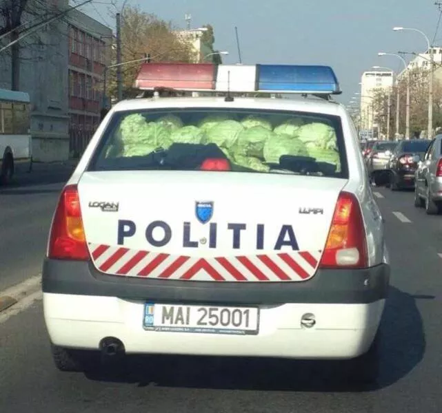 Picdump 965 - #56 