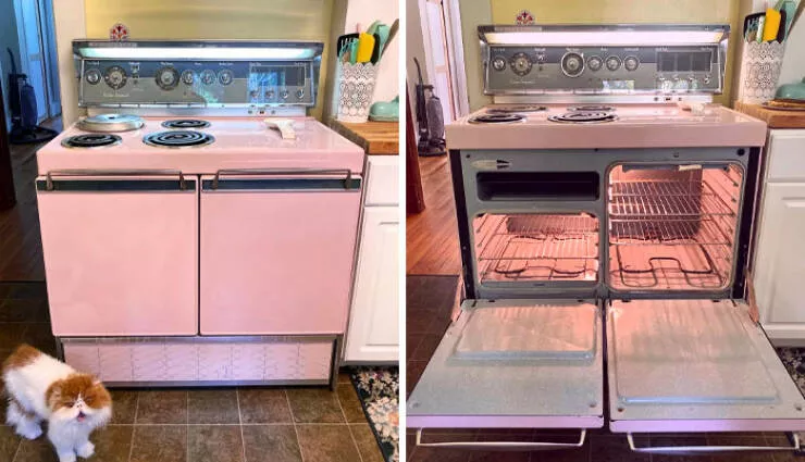 Vintage treasures from the 20th century you rarely spot today - #3 My 1959 Frigidaire Custom Imperial