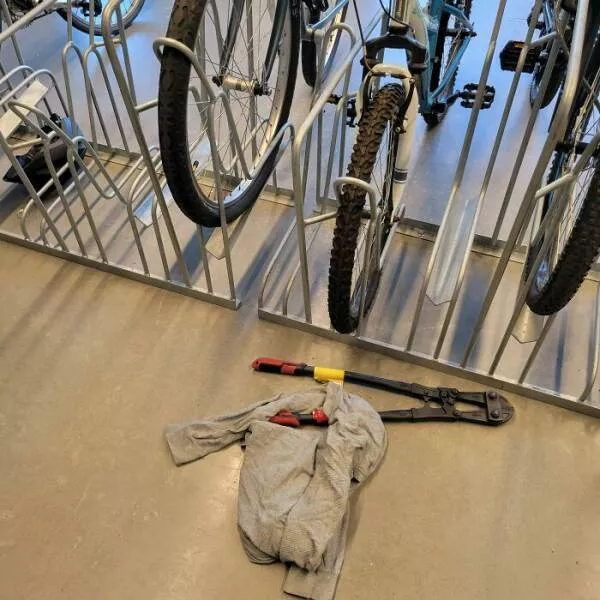 Achats regrettables a la fois tristes et droles - #30 J'ai acheté un vélo électrique à 2500$ il y a deux semaines, je l'ai mis dans le local sécurisé de mon immeuble, et voilà ce que j'ai trouvé quand je suis allé vérifier aujourd'hui