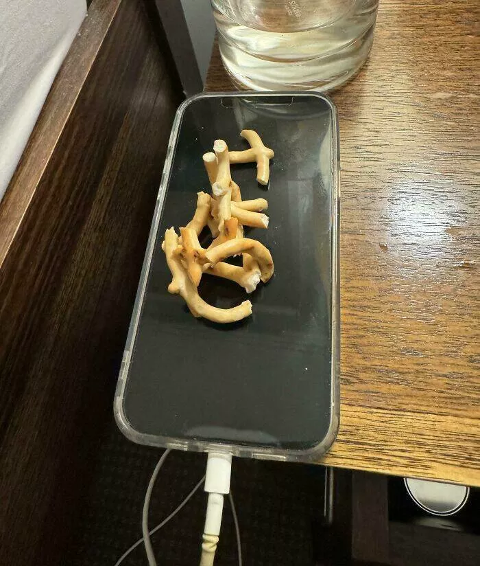 Habitudes droles mais frustrantes des femmes et petites amies - #10 Ma femme grignote tout le sel des bretzels comme une gerbille folle et laisse les restes tout mouillés sur la table de chevet