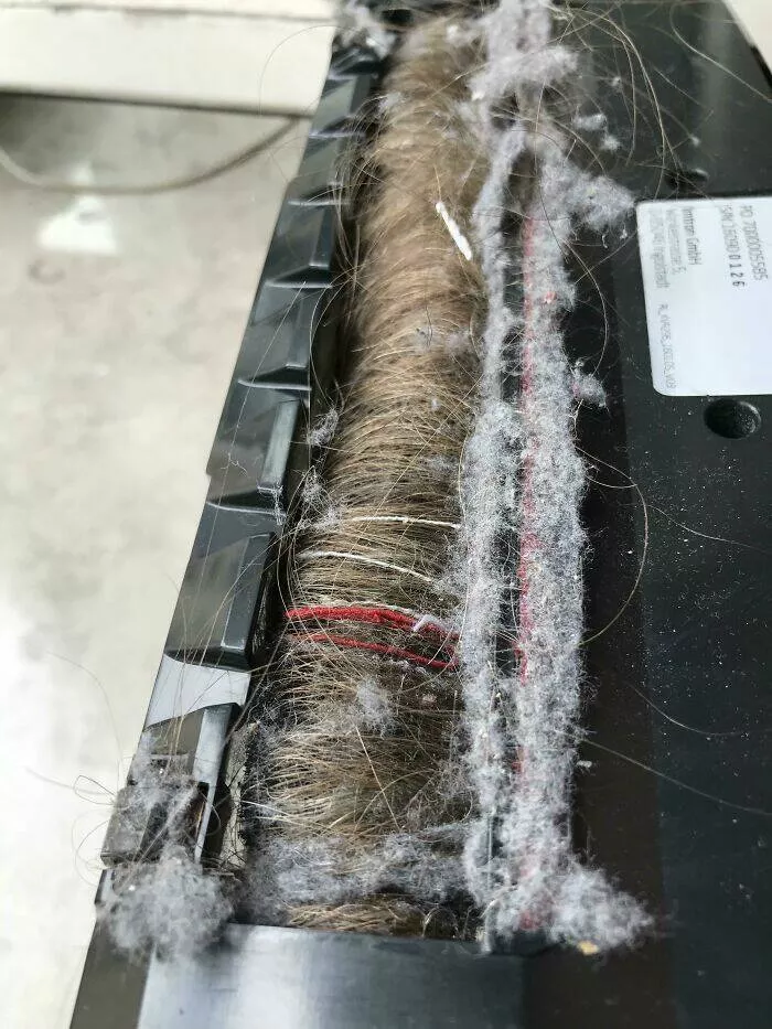 Funny yet infuriating habits of wives and girlfriends - #13 My girlfriend was wondering why her vacuum wasn’t working anymore