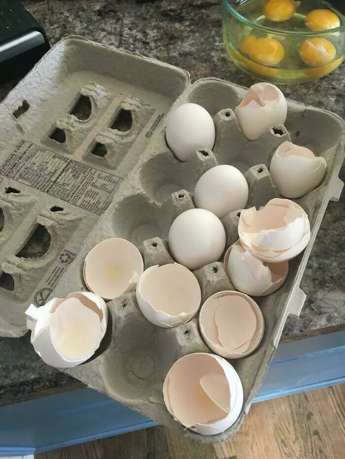 Funny yet infuriating habits of wives and girlfriends - #24 The way my wife leaves the eggshells in the carton instead of throwing them in the trash Funny yet infuriating habits of wives and girlfriends - #24 The way my wife leaves the eggshells in the carton instead of throwing them in the trash