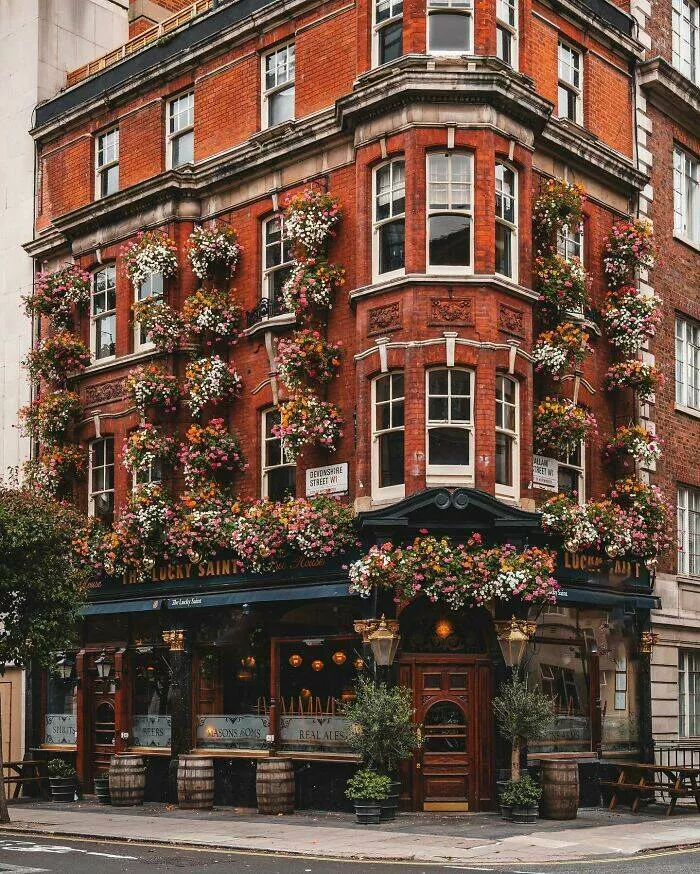 Merveilles architecturales qui ont coupe le souffle du monde - #34 Pub d'angle récemment rouvert en 1899 décoré de paniers de fleurs, Marylebone, West End de Londres, Royaume-Uni