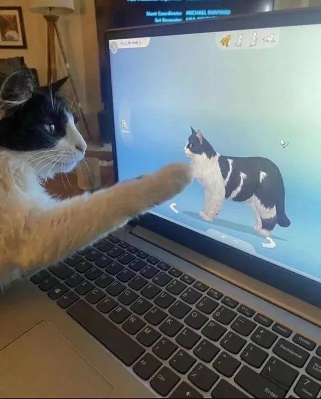 Picdump 967 - #35 