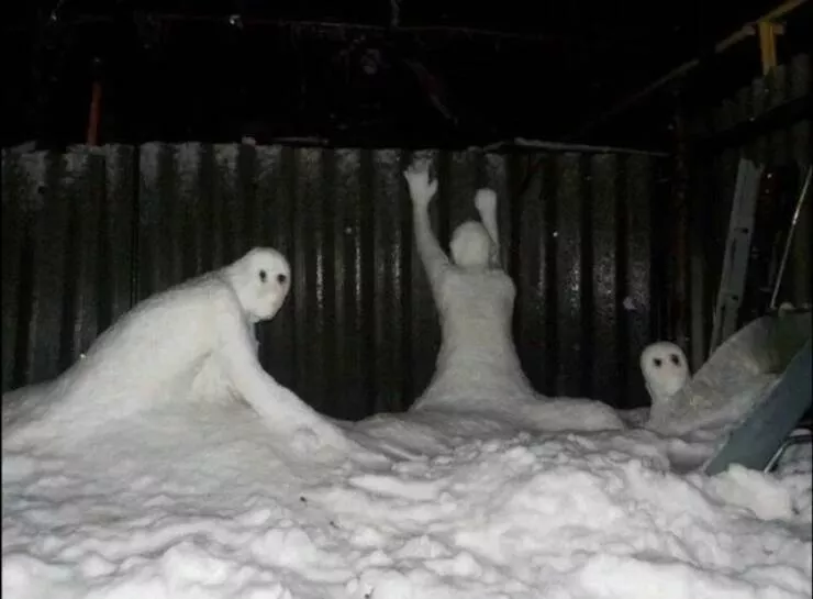 Picdump 967 - #50 