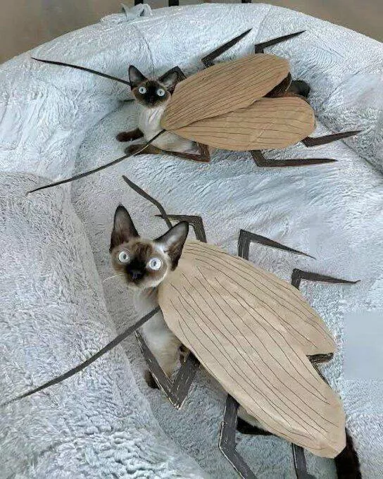Picdump 967 - #52 
