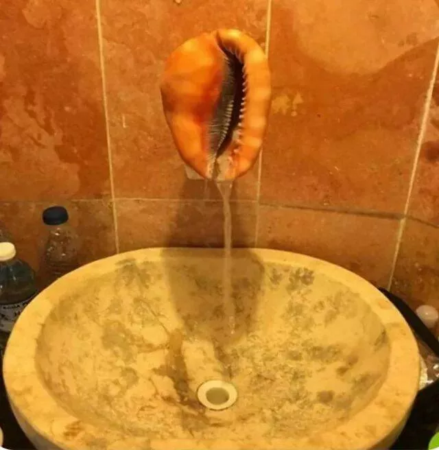 Picdump 967 - #9 