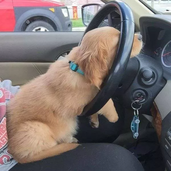 Picdump 120 - #14 