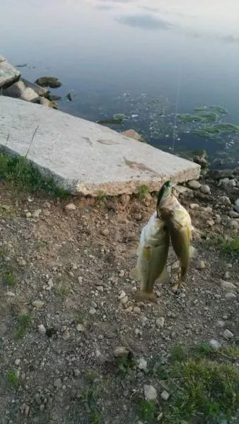 Picdump 120 - #15 