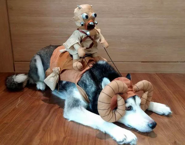 Picdump 120 - #20 
