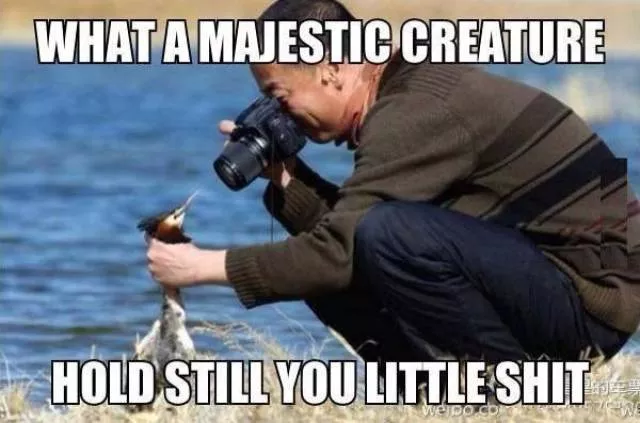 Picdump 120