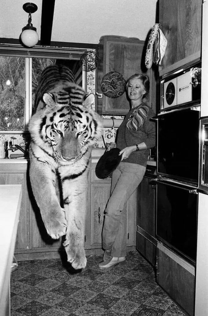 Rare historical photos that reveal fascinating stories - #28 Tippi Hedren with her pet tiger, 1982