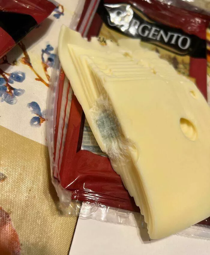 Thanksgiving fails that turned the holiday into a disaster - #41 Bought Swiss cheese yesterday, and it’s already moldy—great timing Thanksgiving fails that turned the holiday into a disaster - #41 Bought Swiss cheese yesterday, and it’s already moldy—great timing