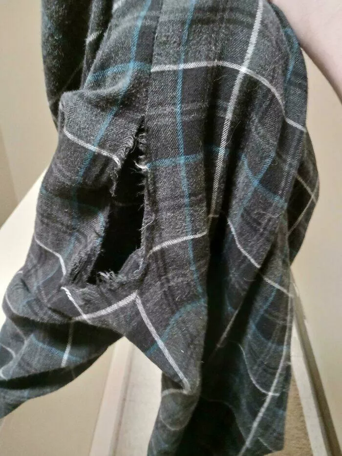 Echecs de thanksgiving qui ont transforme la fete en desastre - #43 Après m’être gavé, j’ai voulu ramasser le chat et j’ai craqué mon pantalon
