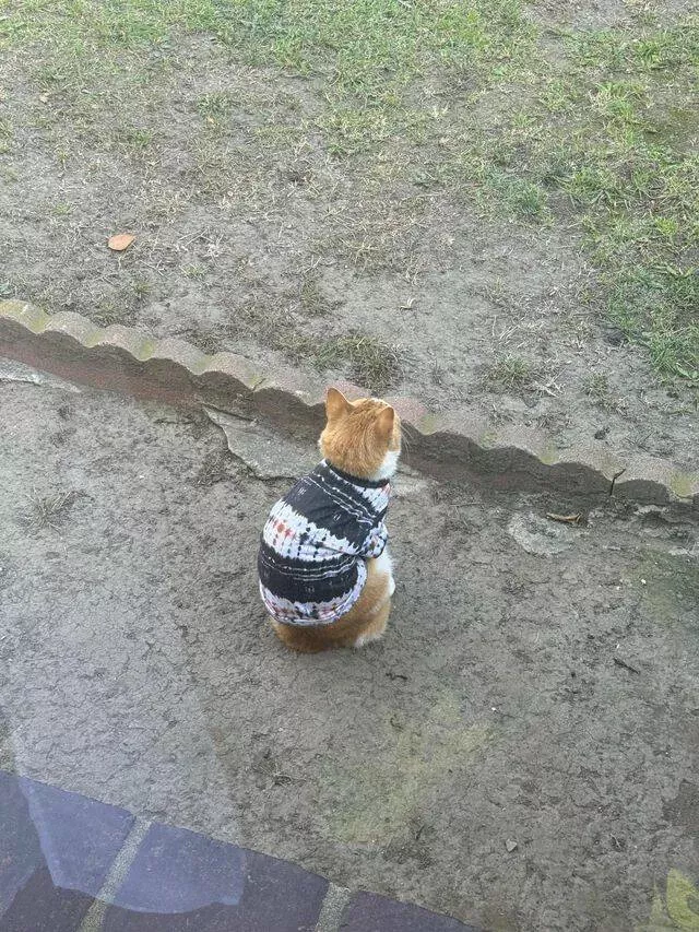 Picdump 969 - #29 Picdump 969 - #29