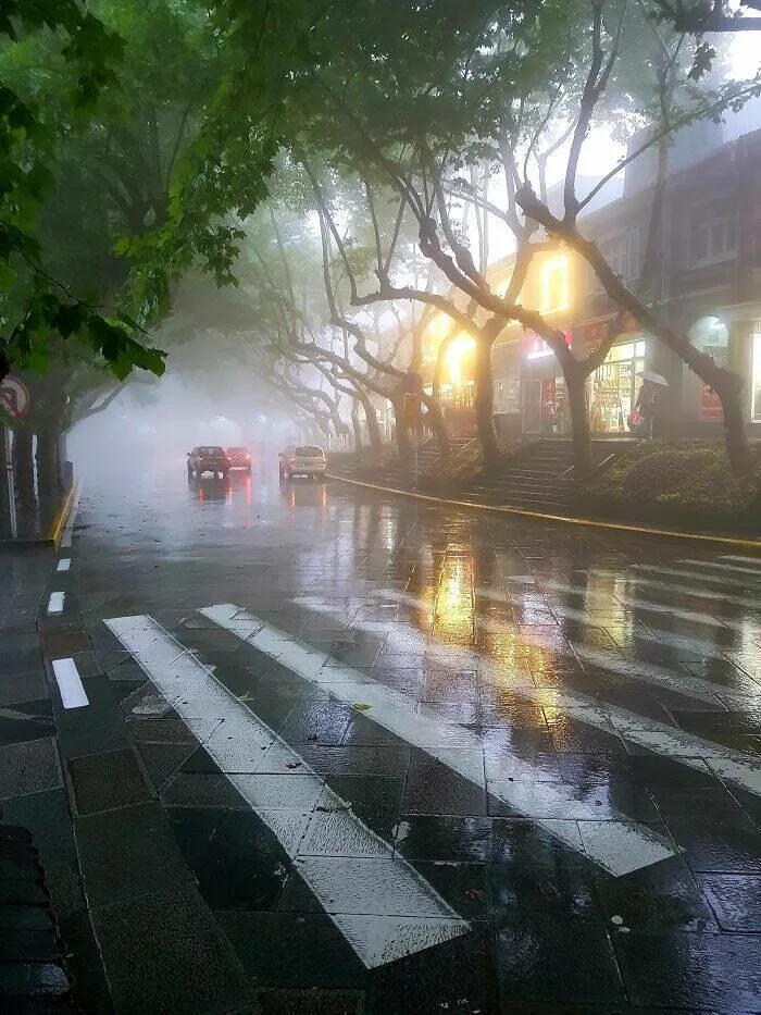 Photos that show how unique china really is - #11 My unforgettable snapshot of a misty road on Mount Lushan, China
