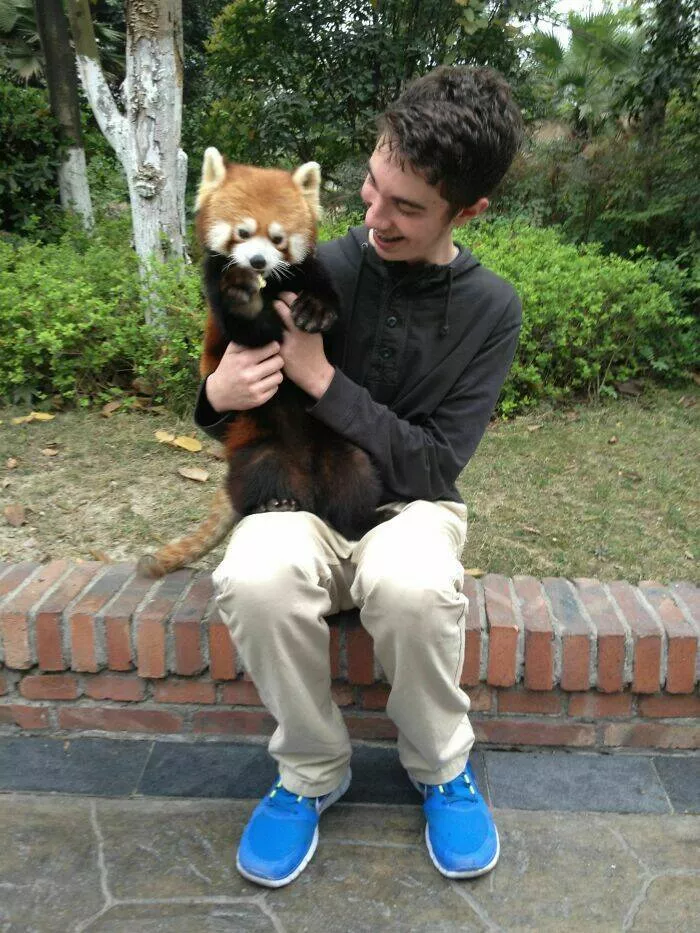 Des photos qui montrent a quel point la chine est unique - #14 Pour seulement 5 $, j'ai pu passer du temps avec cette adorable créature lors de mon échange en Chine Des photos qui montrent a quel point la chine est unique - #14 Pour seulement 5 $, j'ai pu passer du temps avec cette adorable créature lors de mon échange en Chine