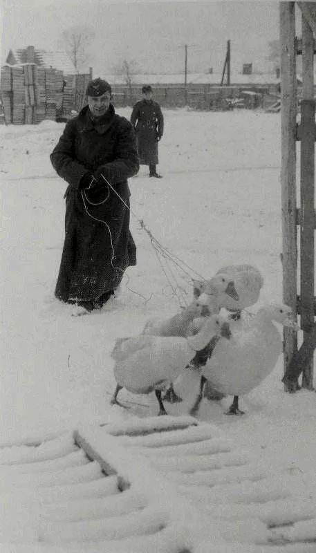Picdump 970 - #3 