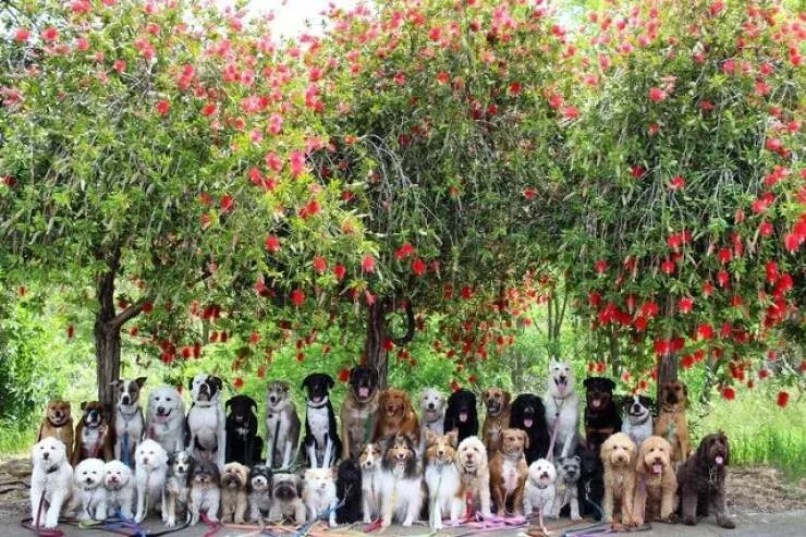 Picdump 971 - #29 