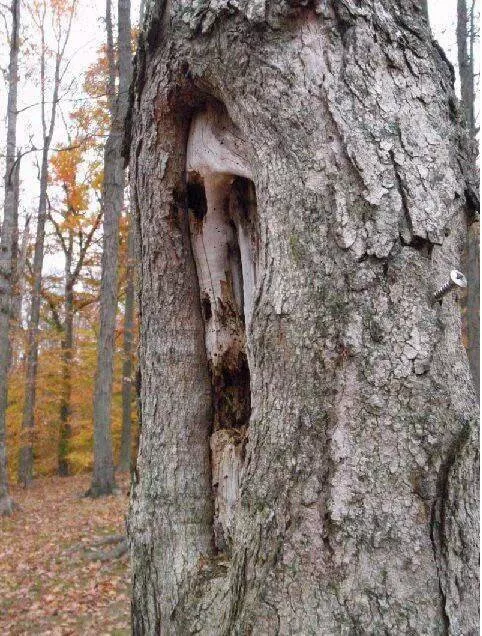 Picdump 971 - #40 