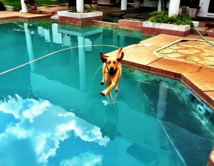 Picdump 971 - #50 
