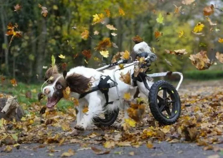 Picdump 971 - #6 