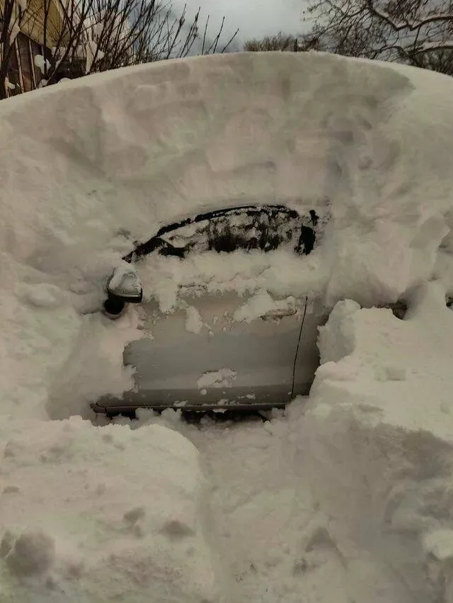 Picdump 971 - #9 