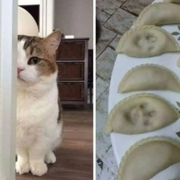 Picdump 972 - #17 