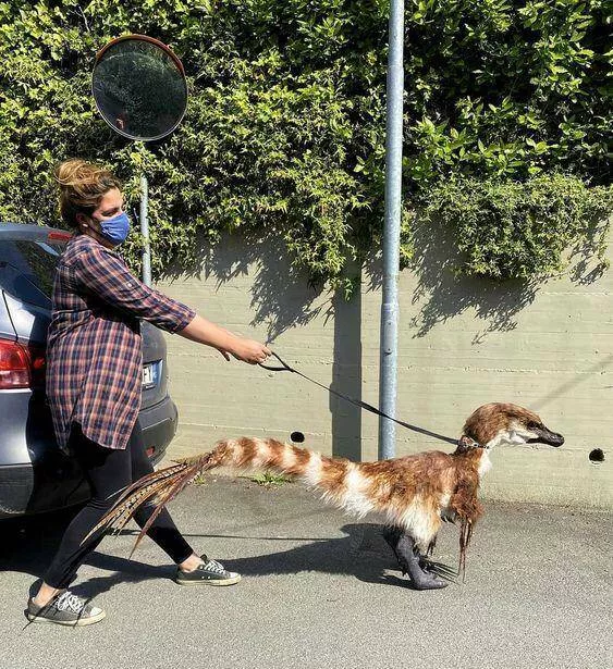 Picdump 972 - #26 
