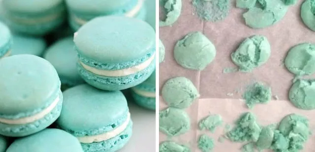 Le meilleur des pires rates en cuisine - #16 