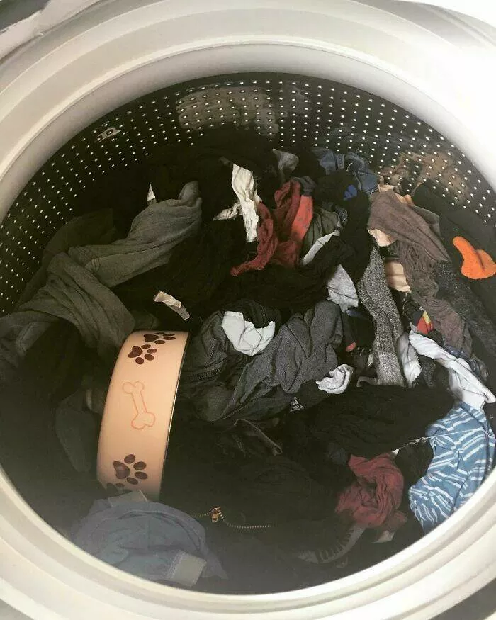 When partners took cluelessness to new heights - #18 How to avoid doing laundry, according to my husband