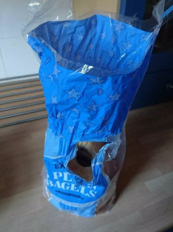 Quand les partenaires ont atteint des sommets dincomprehension - #25 Mon mari voulait juste un bagel, apparemment.
