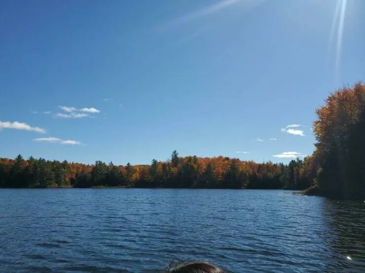 When partners took cluelessness to new heights - #33 Boyfriend said this was just the top of his canoe during his trip this weekend