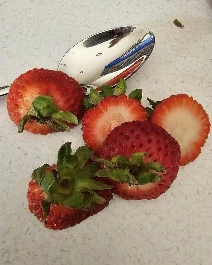 Quand les partenaires ont atteint des sommets dincomprehension - #37 Mon copain gaspille trop en découpant des fraises