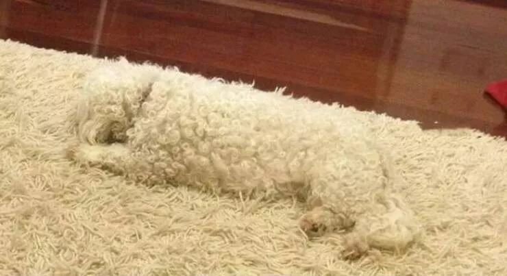 Picdump 973 - #16 