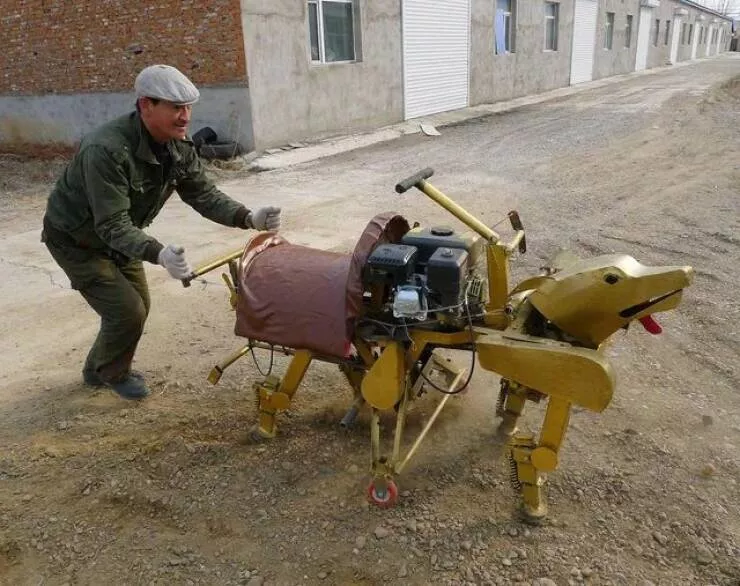 Picdump 973 - #54 