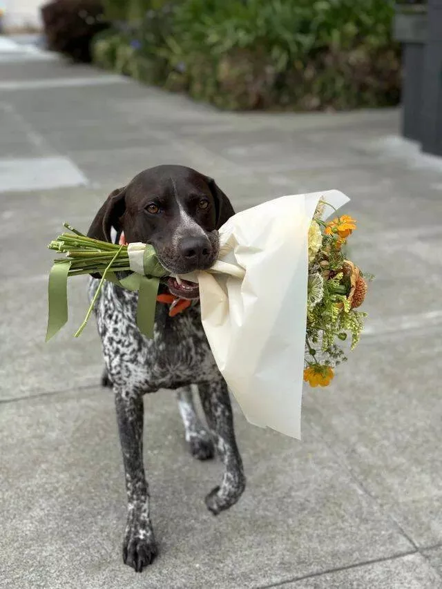 Picdump 973 - #7 