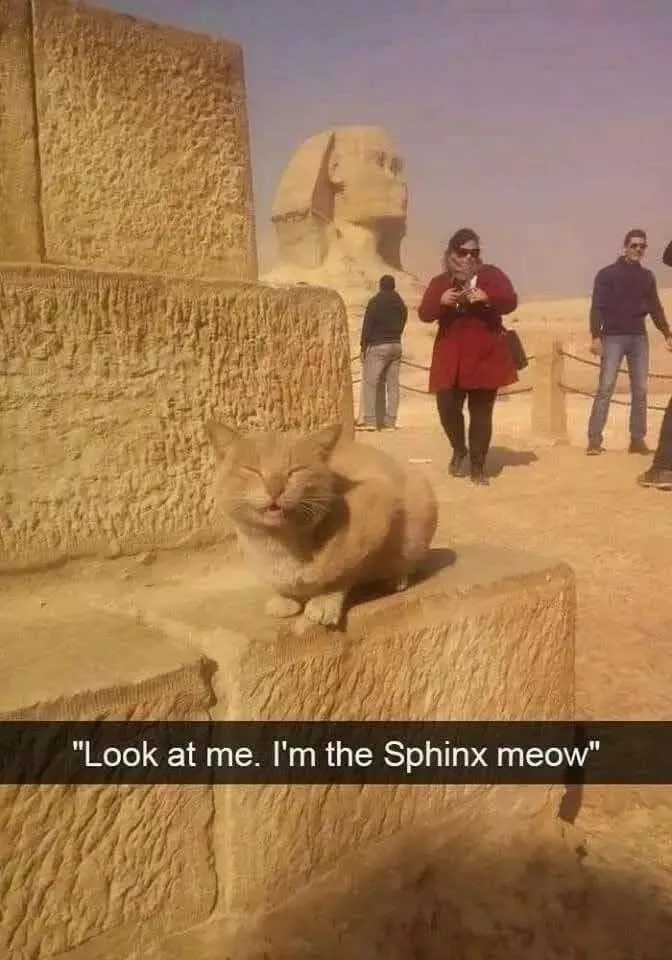 Picdump 975 - #42 