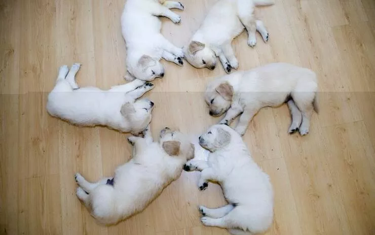 Picdump 976 - #20 