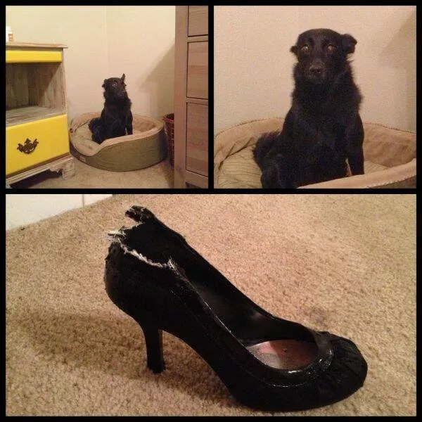 Picdump 976 - #3 