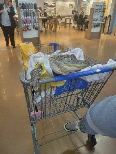 Picdump 976 - #54 