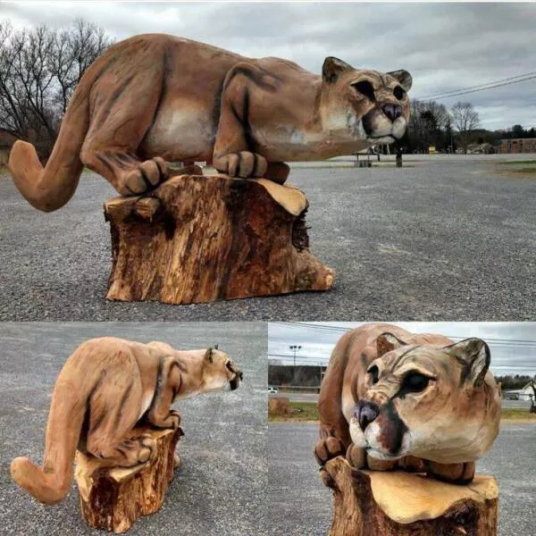 Impressive very impressive - #11 