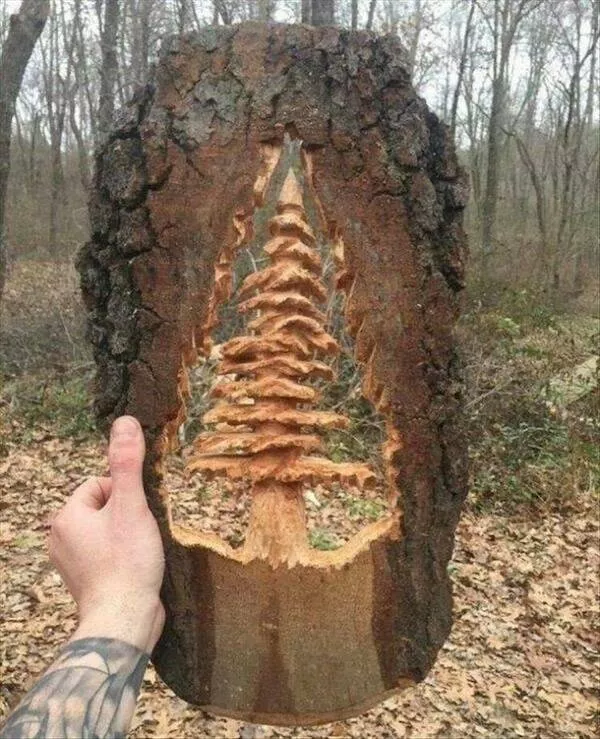 Tres impressionnant vraiment impressionnant - #17 