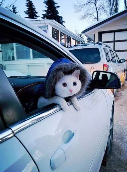 Picdump 121 - #15 Picdump 121 - #15