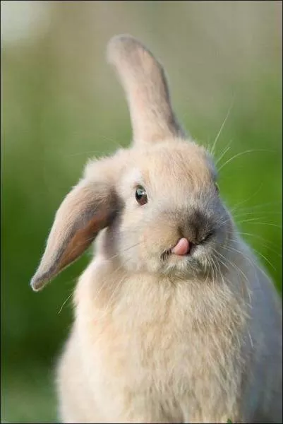 Picdump 121 - #38 