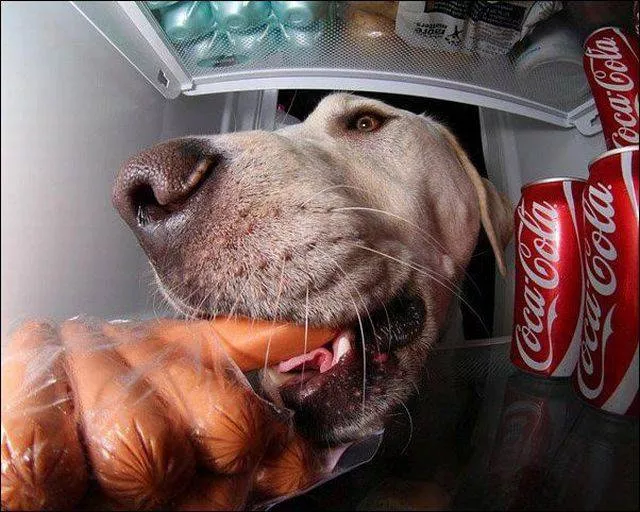 Picdump 121 - #65 