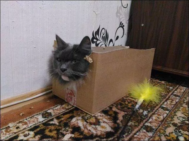 Picdump 121 - #67 