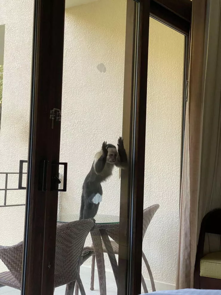 Picdump 977 - #12 