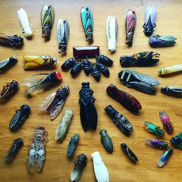Unique and impressive collections shared by enthusiasts - #11 Vintage cicada brooches made of Bakelite and Celluloid Unique and impressive collections shared by enthusiasts - #11 Vintage cicada brooches made of Bakelite and Celluloid